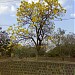 Gulbarga University, Gulbarga in Kalaburagi (Gulbarga) city