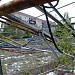 Greenhouse in Prypiat city