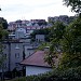 Leszczynki in Gdynia city