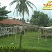 Pasar Bocor
