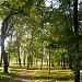 Park w Woli Uhruskiej in Wola Uhruska city