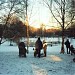 Eppendorfer Park in Stadt Hamburg