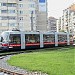 Nufărul (en) in Nagyvárad city