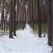 Парк «Урочище Совки» в городе Киев