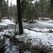 Переходное болото в городе Москва