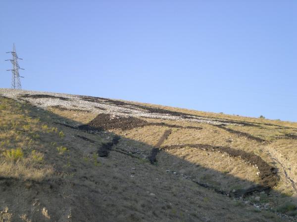 m k ataturk erzincan
