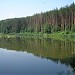 Платная рыбалка сосновый берег Платная рыбалка сосновый берег