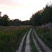 Центральная часть Бутовского лесопарка в городе Москва