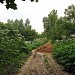 Старобитцевское поле в городе Москва