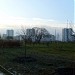 Зона отдыха вокруг Южнобутовского пруда в городе Москва