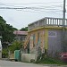 Cotton Tree Place in Negril city