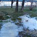 Небольшое болотце в городе Москва