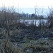 Остров в городе Москва