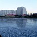 Нижний Гавриковский пруд (южная часть) в городе Москва