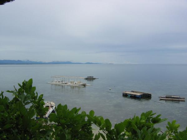 Arena Island