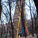 Скалодром «Сосулька» в городе Москва
