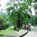 Penang Botanical Garden in George Town city