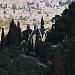Доминус Флевит (ru) in ירושלים city