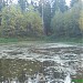 Лесной пруд в городе Москва