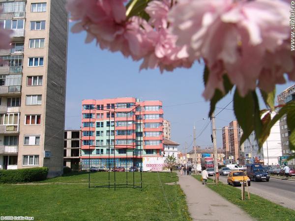Casa Judeţeană De Asigurări De Sănătate Sibiu