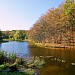 Serednii ('Middle') Horikhuvatskyi Pond in Kyiv city