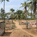 Yvon's Holiday Calm in Arambol city