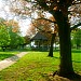 Staple Hill/Soundwell/New Cheltenham in Bristol city