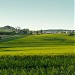 Zawiercie - Piecki (pl) in Zawiercie city