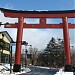 a torii in Nikko city