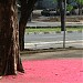 Faculdade de Educação da UFBA na Salvador city