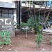 Faculdade de Educação da UFBA na Salvador city