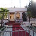 Ulliri in Tiranë city