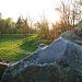 Parcul Botanic în Timişoara oraş