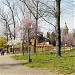 Parcul Justiţiei în Timişoara oraş