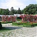 Roses Park