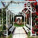Roses Park