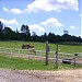 Raemelton Farm Historic District / Raemelton Therapeutic Equestrian Center in Mansfield, Ohio city