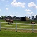 Raemelton Farm Historic District / Raemelton Therapeutic Equestrian Center in Mansfield, Ohio city