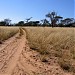 Deserto do Alemão