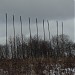 Заброшенные флагштоки времен Олимпиады-80 в городе Москва