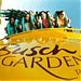 Busch Gardens, Tampa Bay