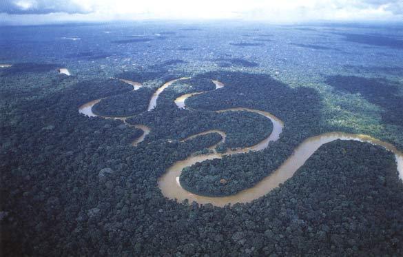 amazon is the largest river in the world near its mouth