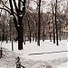 Сквер в городе Москва