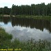 Пруд Лось в городе Москва