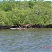 Mangue e Marisqueiros (pt) in Barra de Santo Antônio - Alagoas - Brasil city