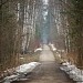 Бумажная просека в городе Москва