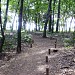 Bosque da Índia Diacuí in Goiânia city