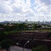 Bosque da Índia Diacuí na Goiânia city