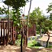 Bosque da Índia Diacuí na Goiânia city