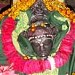 Mandan Mishra Dham